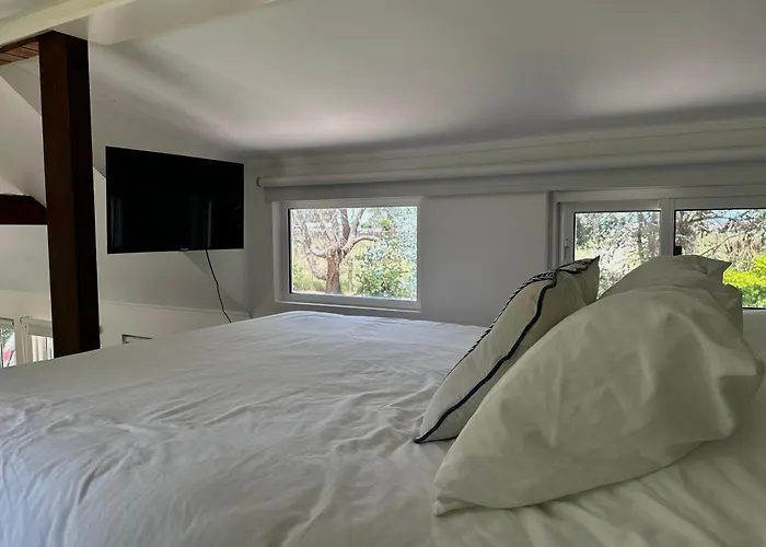 Tiny House Mercedes